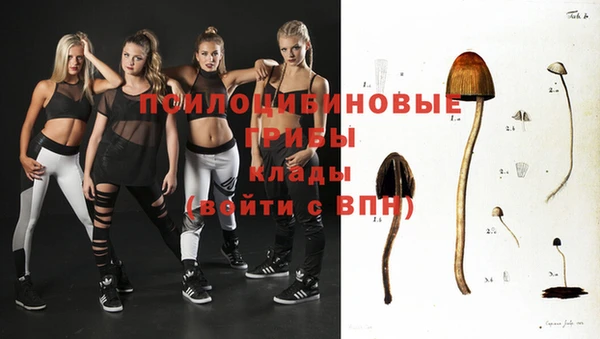 прущая мука Бородино
