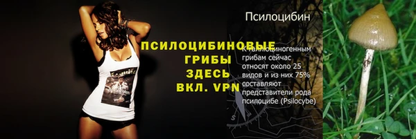 MDMA Premium VHQ Бугульма