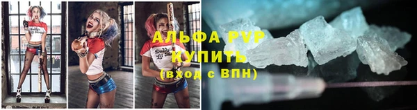 прущая мука Бородино