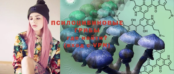 трава Бронницы