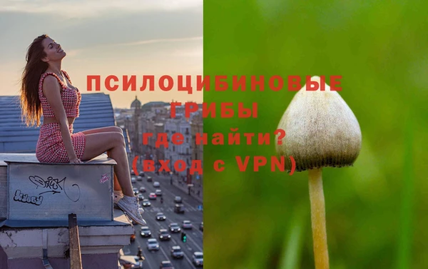 MDMA Premium VHQ Бугульма
