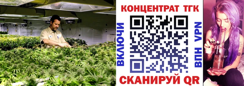 ТГК гашишное масло Наволоки