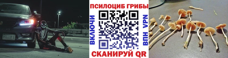 Галлюциногенные грибы MAGIC MUSHROOMS купить наркотик Наволоки